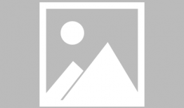 古惑仔动漫,热血江湖，兄弟情深