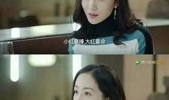 娱乐圈吃瓜爆料老师小说,吃瓜爆料背后的真相